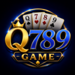 Q789 Game